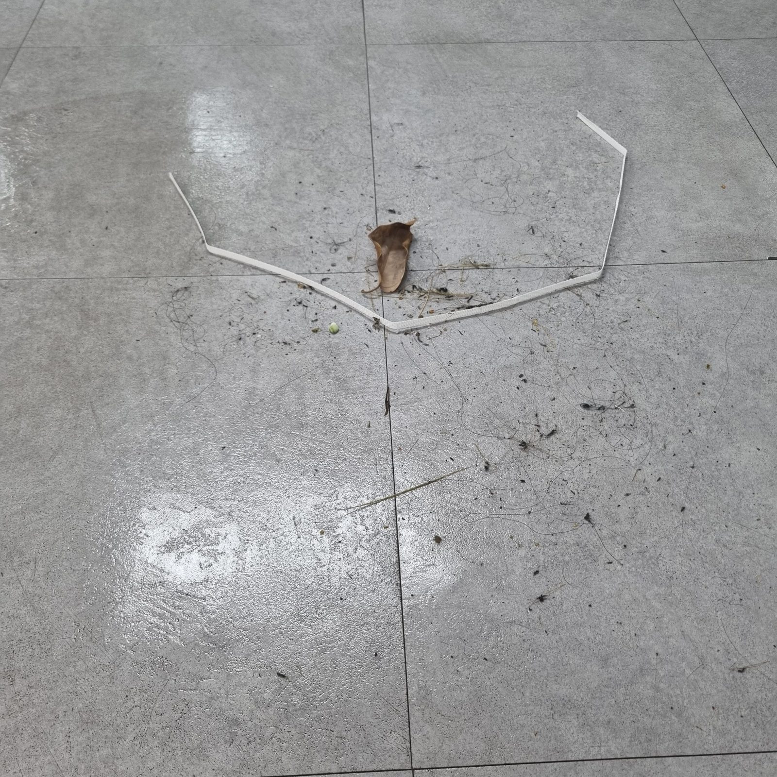작업 전 집기 아래에 남아 있던 오염